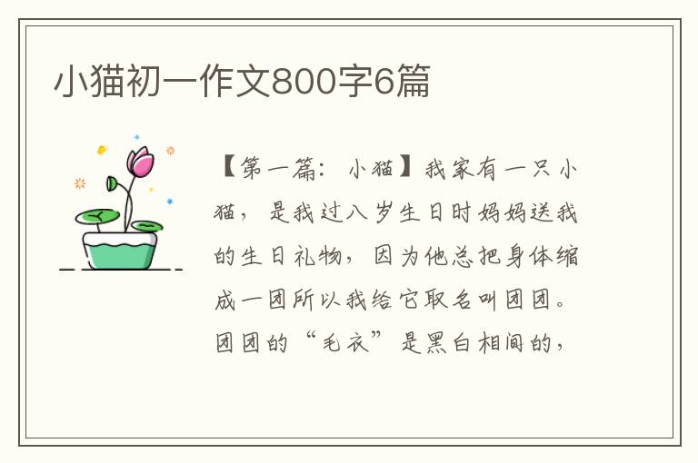 小猫初一作文800字6篇