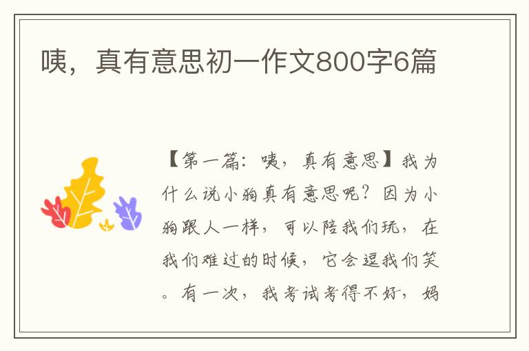 咦，真有意思初一作文800字6篇