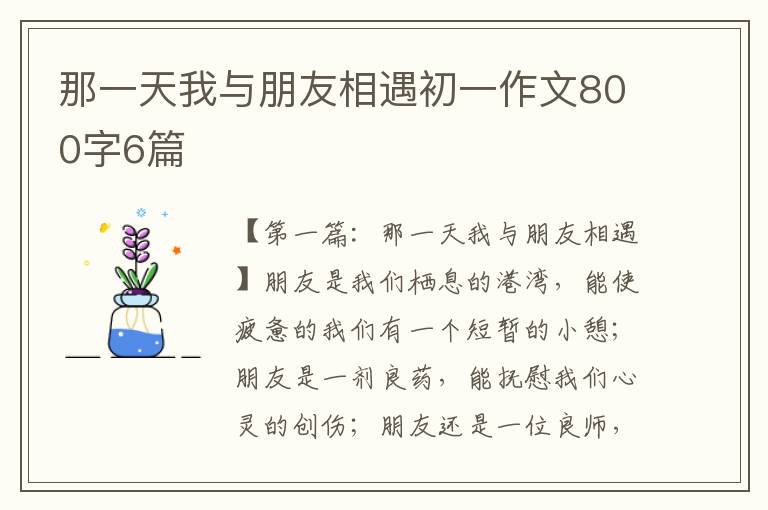 那一天我与朋友相遇初一作文800字6篇