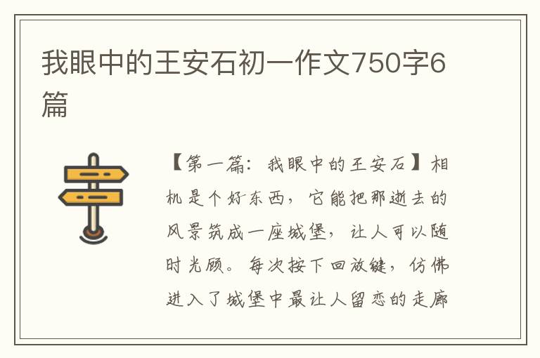 我眼中的王安石初一作文750字6篇