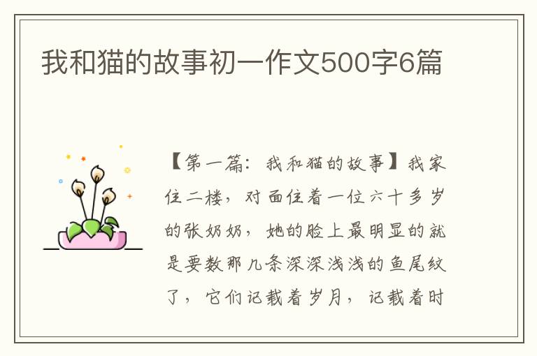 我和猫的故事初一作文500字6篇