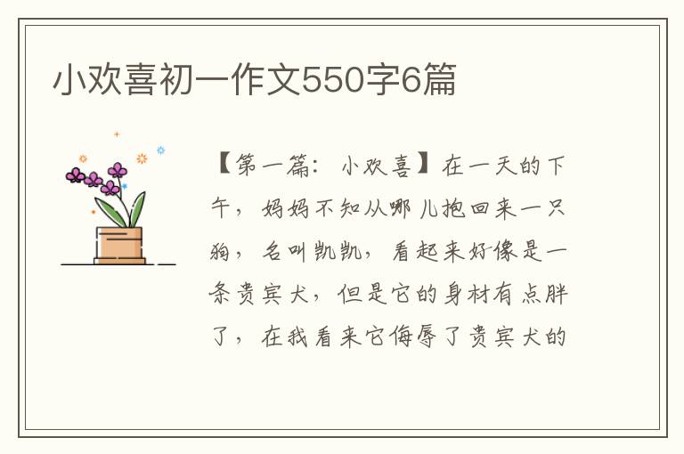 小欢喜初一作文550字6篇