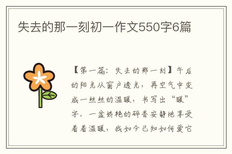 失去的那一刻初一作文550字6篇