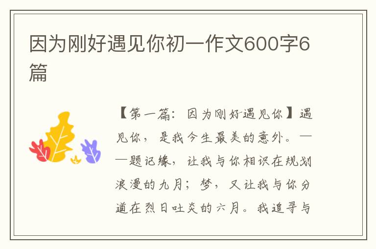 因为刚好遇见你初一作文600字6篇