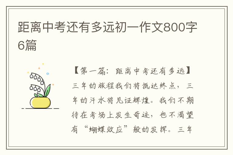 距离中考还有多远初一作文800字6篇