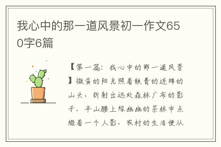 我心中的那一道风景初一作文650字6篇