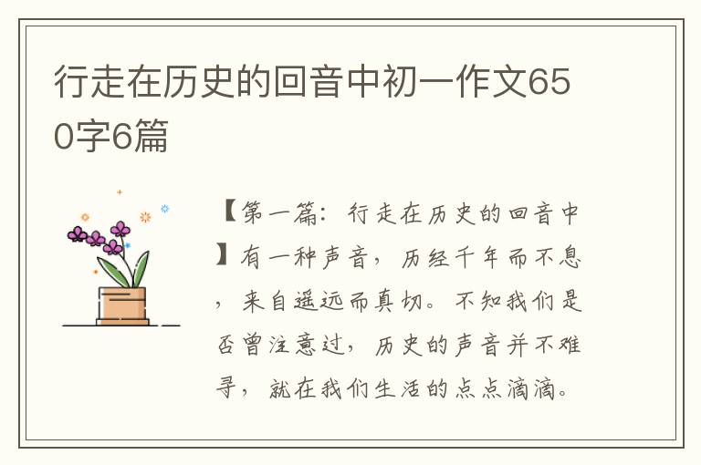 行走在历史的回音中初一作文650字6篇