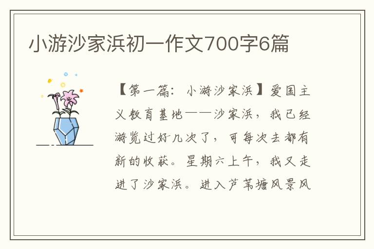 小游沙家浜初一作文700字6篇