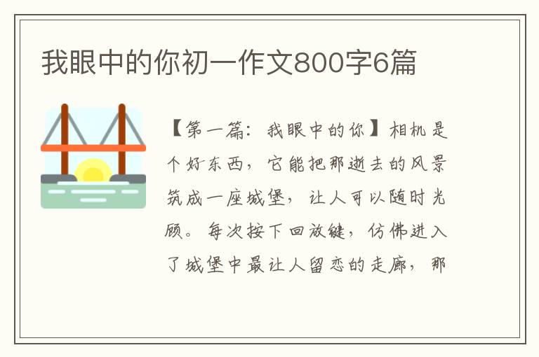 我眼中的你初一作文800字6篇