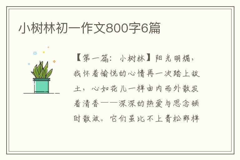 小树林初一作文800字6篇