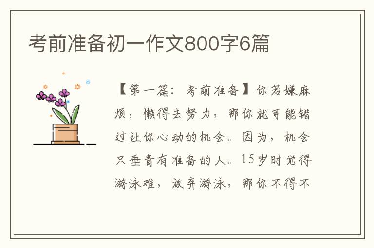 考前准备初一作文800字6篇