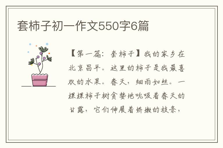 套柿子初一作文550字6篇