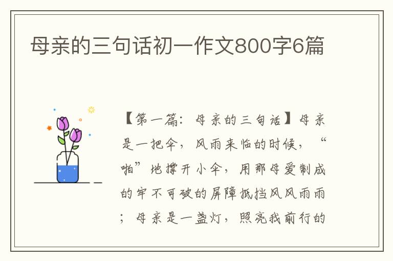 母亲的三句话初一作文800字6篇