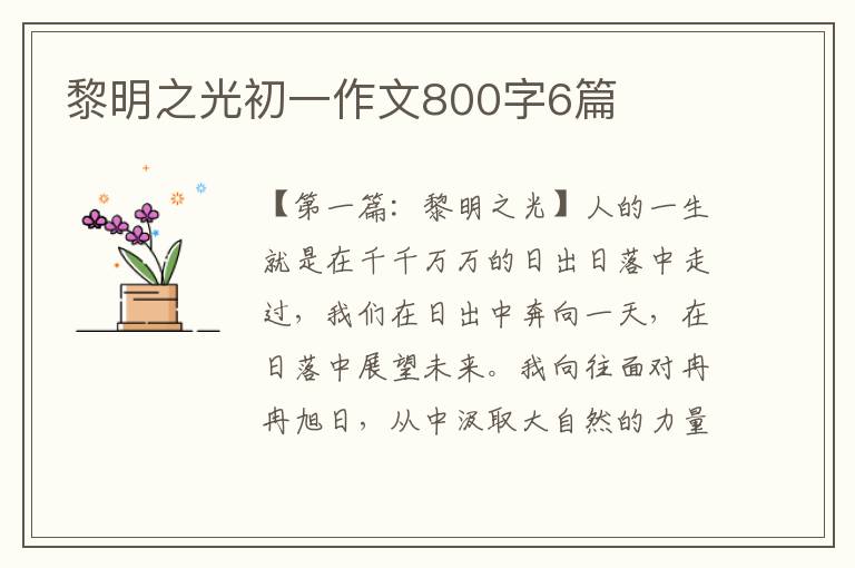 黎明之光初一作文800字6篇