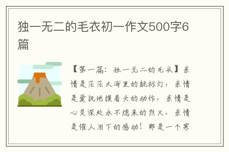 独一无二的毛衣初一作文500字6篇