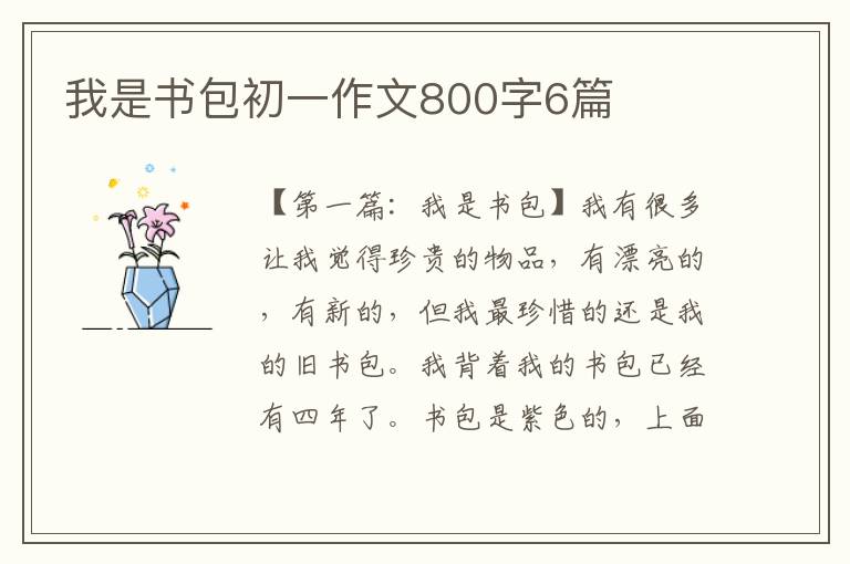 我是书包初一作文800字6篇