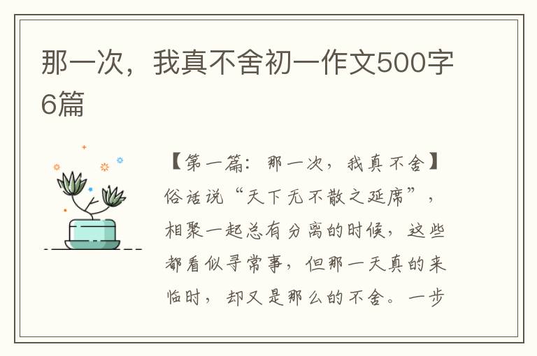 那一次，我真不舍初一作文500字6篇