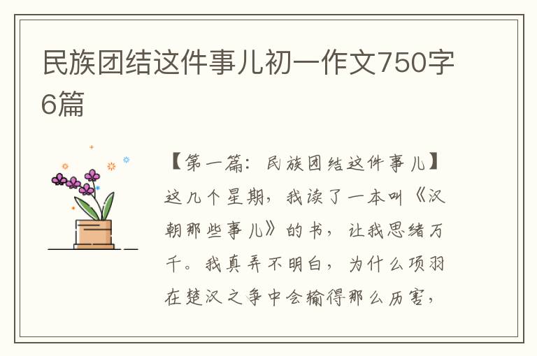 民族团结这件事儿初一作文750字6篇