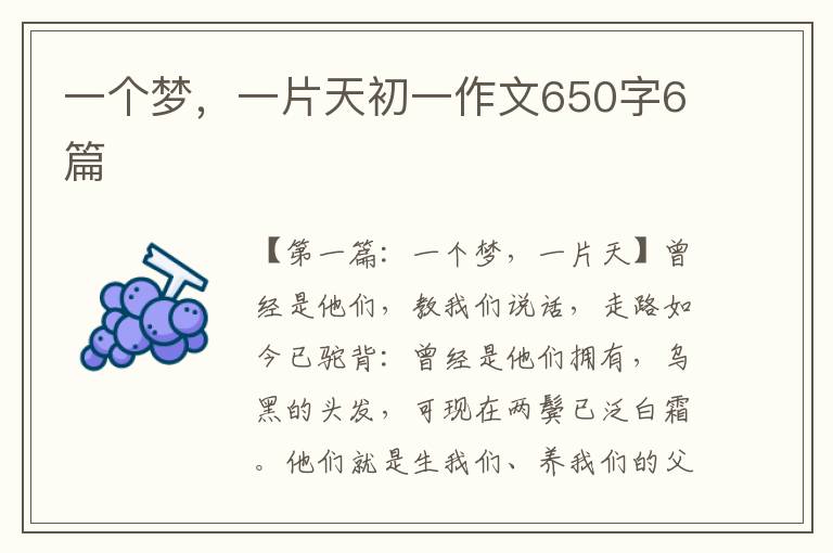 一个梦，一片天初一作文650字6篇