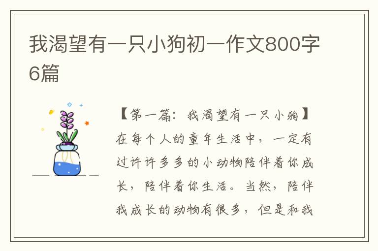 我渴望有一只小狗初一作文800字6篇