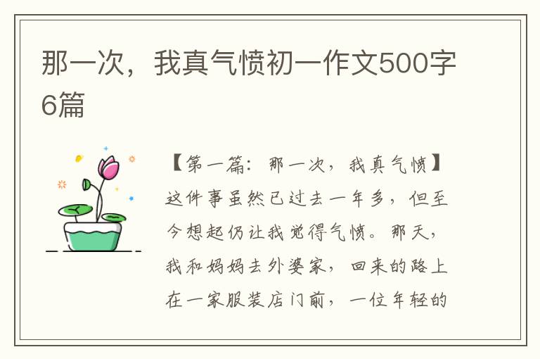 那一次，我真气愤初一作文500字6篇