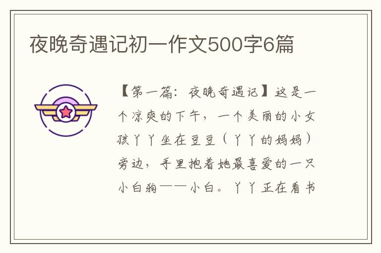 夜晚奇遇记初一作文500字6篇