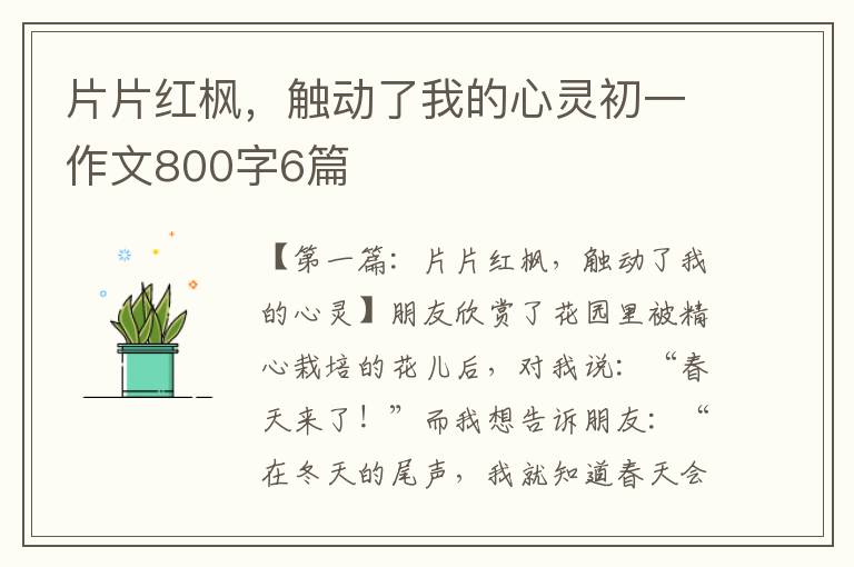 片片红枫，触动了我的心灵初一作文800字6篇