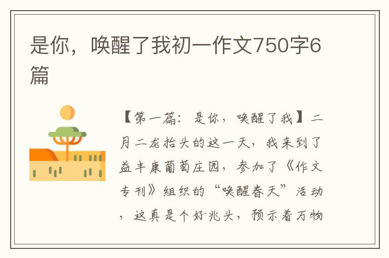 是你，唤醒了我初一作文750字6篇