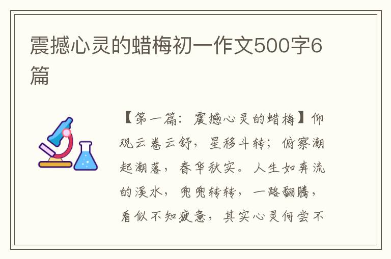 震撼心灵的蜡梅初一作文500字6篇