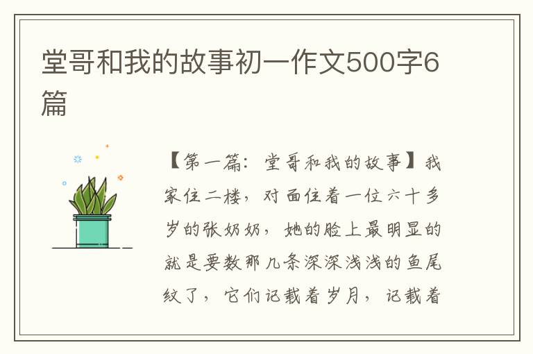 堂哥和我的故事初一作文500字6篇