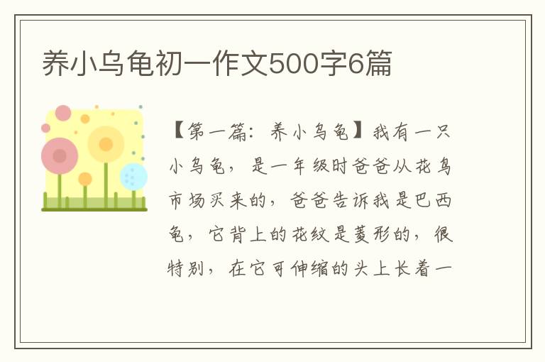 养小乌龟初一作文500字6篇