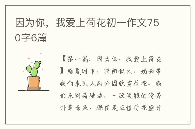 因为你，我爱上荷花初一作文750字6篇