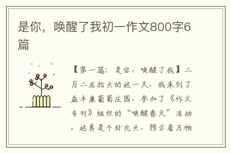 是你，唤醒了我初一作文800字6篇