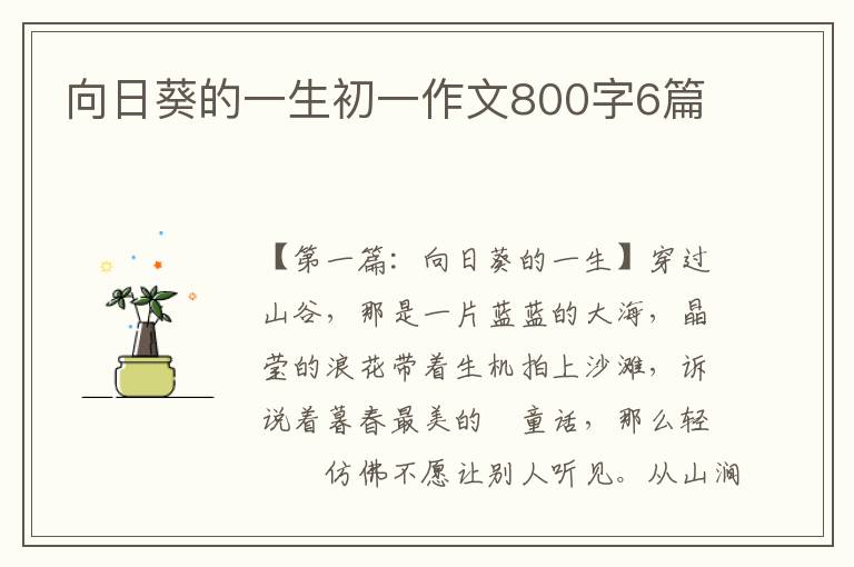 向日葵的一生初一作文800字6篇