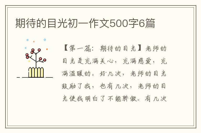 期待的目光初一作文500字6篇