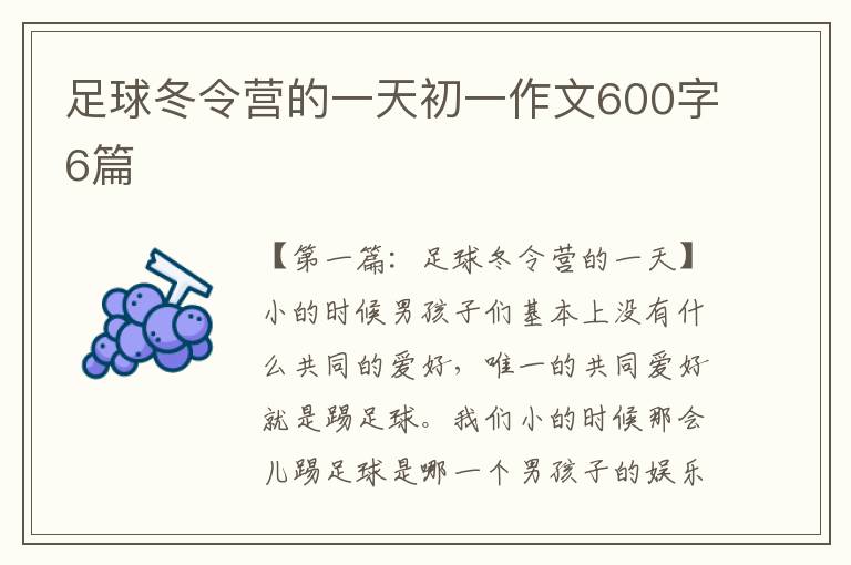 足球冬令营的一天初一作文600字6篇