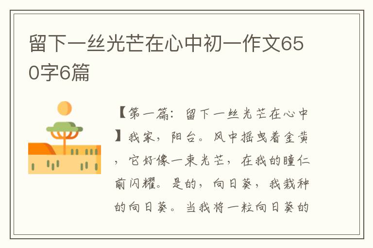 留下一丝光芒在心中初一作文650字6篇