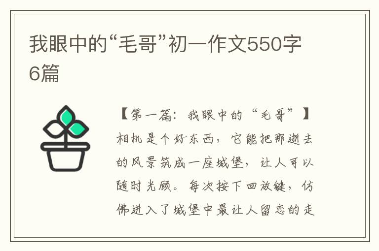 我眼中的“毛哥”初一作文550字6篇