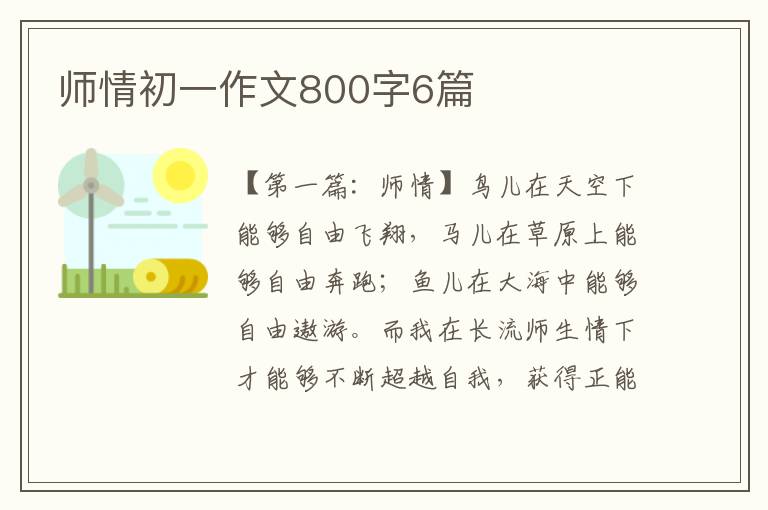 师情初一作文800字6篇