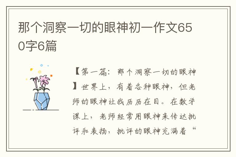 那个洞察一切的眼神初一作文650字6篇