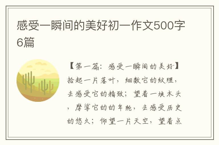 感受一瞬间的美好初一作文500字6篇