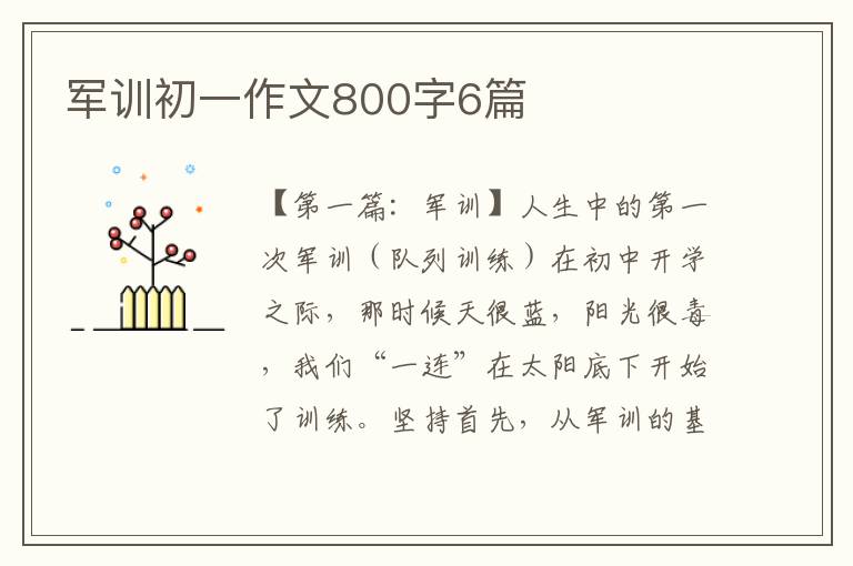 军训初一作文800字6篇