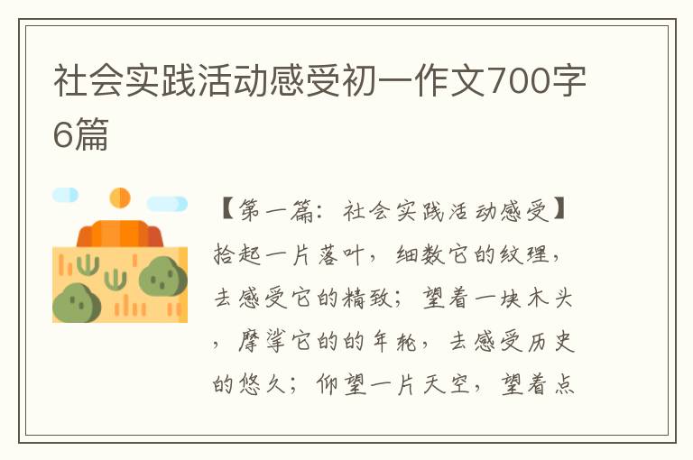 社会实践活动感受初一作文700字6篇