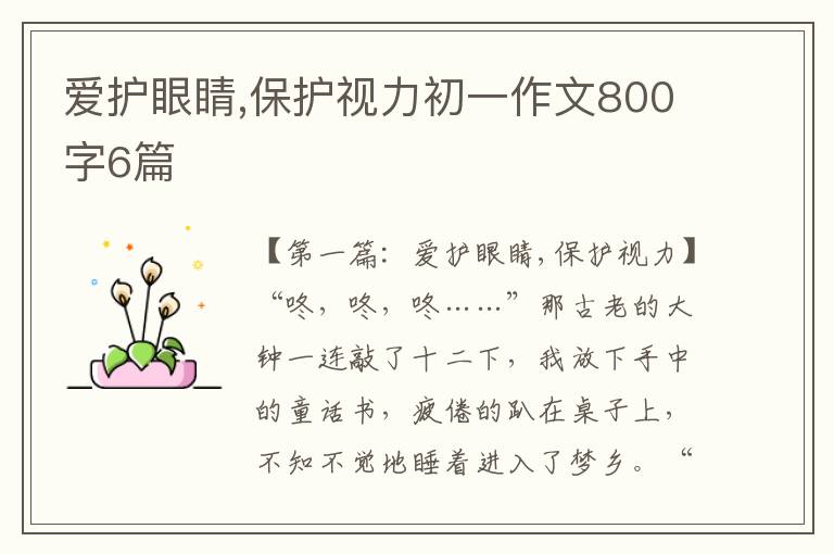 爱护眼睛,保护视力初一作文800字6篇