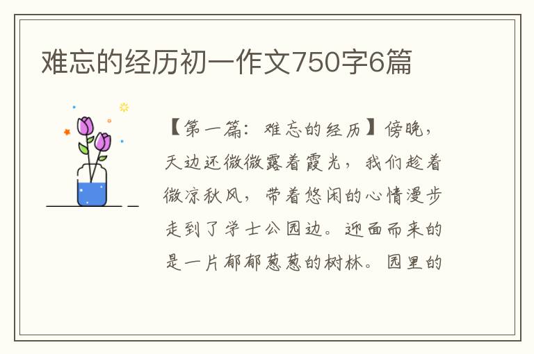 难忘的经历初一作文750字6篇