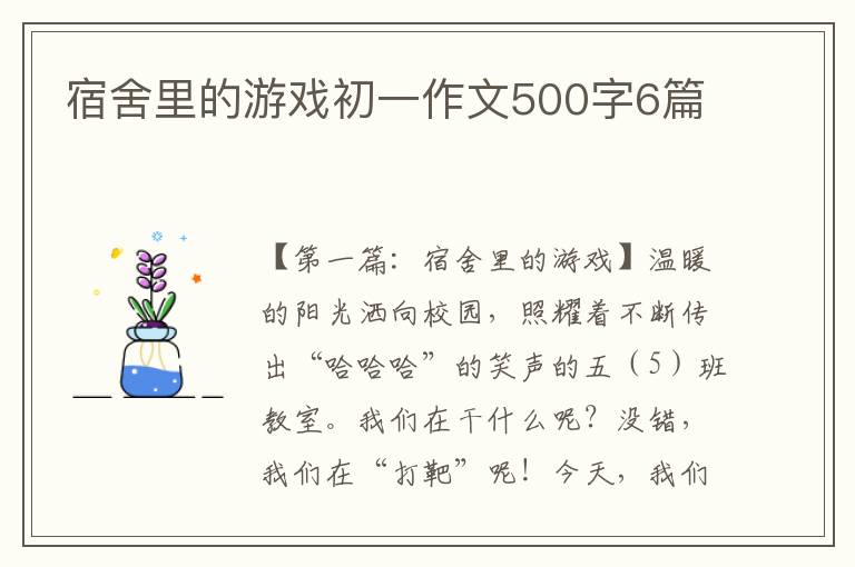 宿舍里的游戏初一作文500字6篇