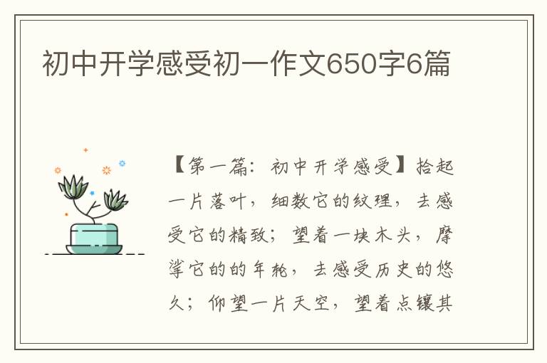 初中开学感受初一作文650字6篇