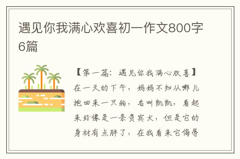 遇见你我满心欢喜初一作文800字6篇