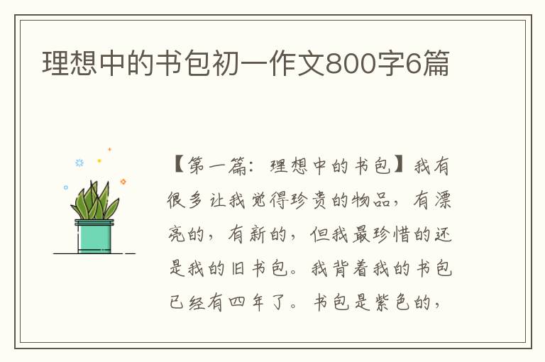 理想中的书包初一作文800字6篇