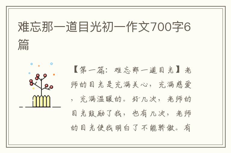 难忘那一道目光初一作文700字6篇